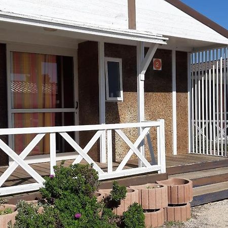Parque De Campismo Da Praia Da Barra Gafanha da Nazaré Buitenkant foto
