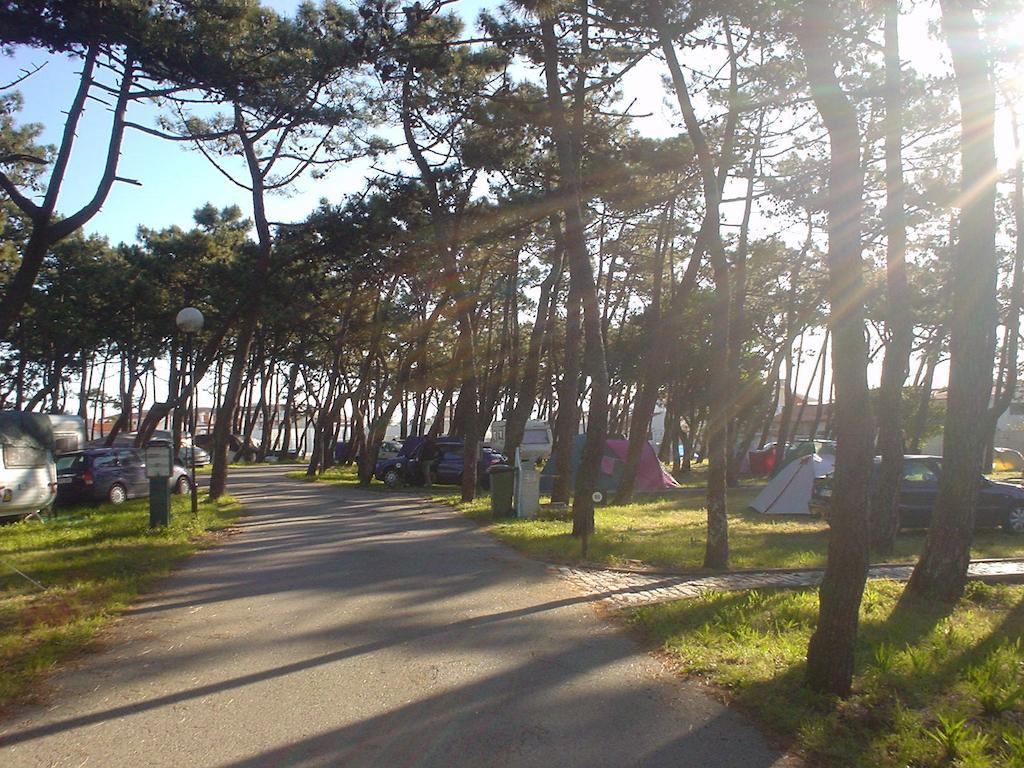 Parque De Campismo Da Praia Da Barra Gafanha da Nazaré Buitenkant foto